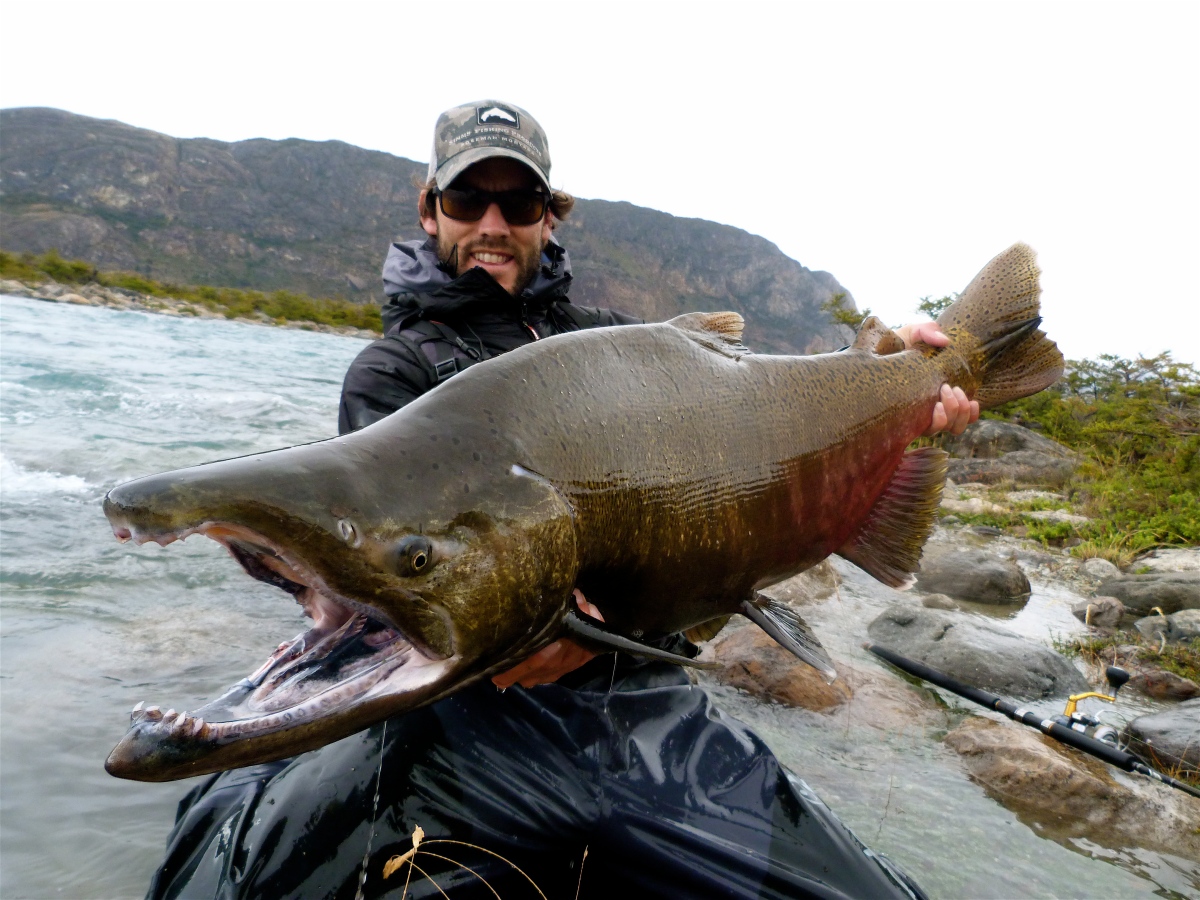 Salmon King Patagonia